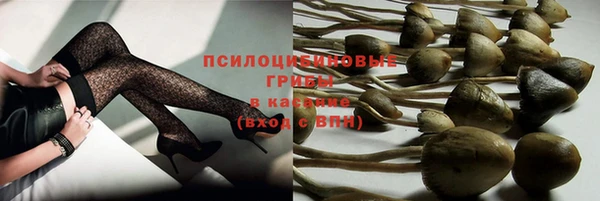 ГАЛЛЮЦИНОГЕННЫЕ ГРИБЫ Лабытнанги