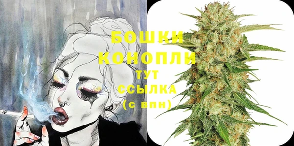 ГАЛЛЮЦИНОГЕННЫЕ ГРИБЫ Лабытнанги
