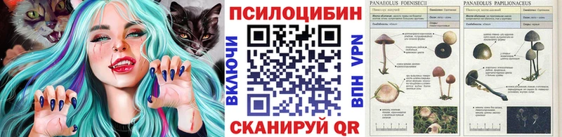 Купить закладки  Апатиты  Псилоцибиновые грибы GOLDEN TEACHER 